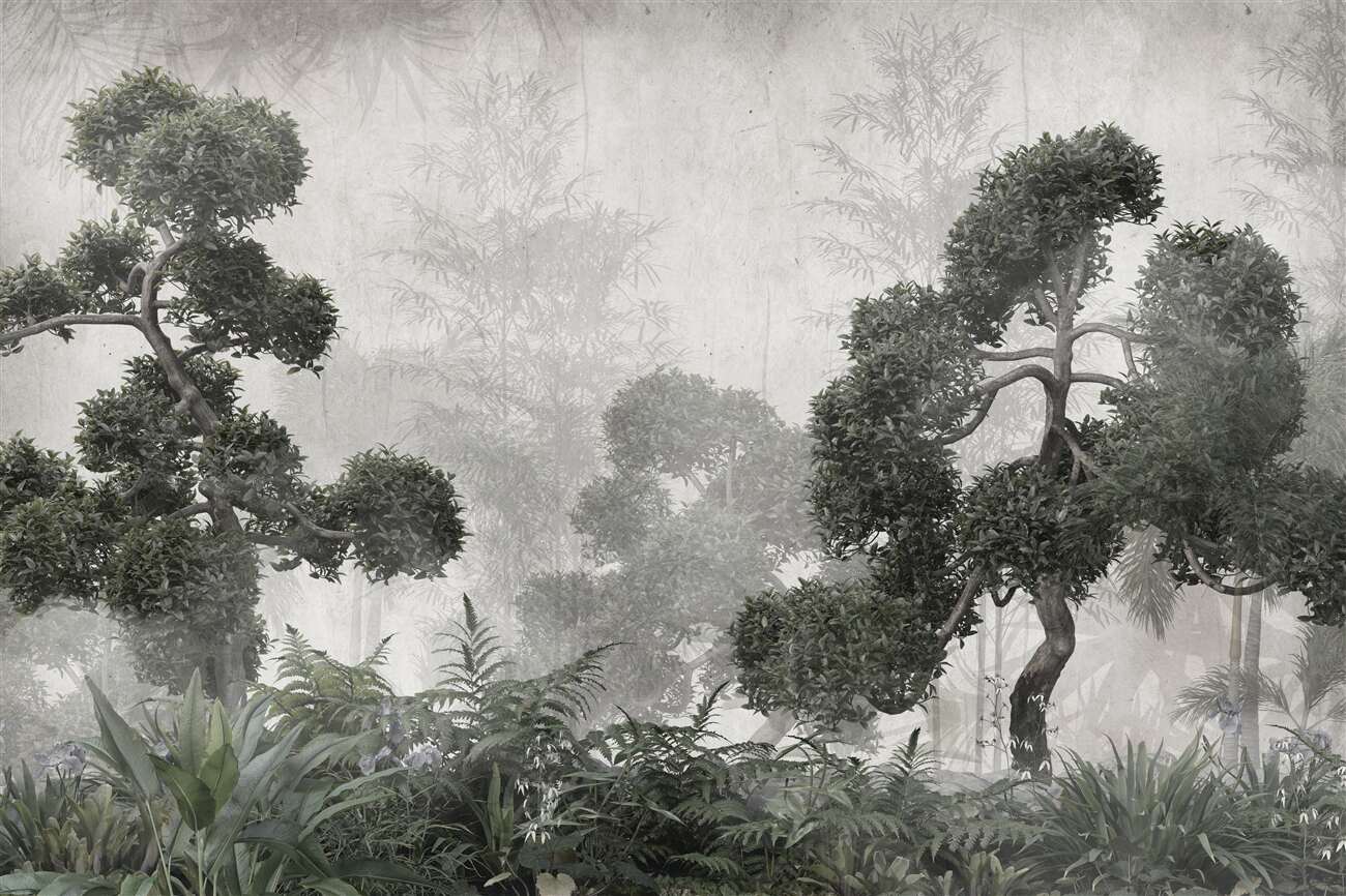 Fototapeta Baobab podczas deszczu