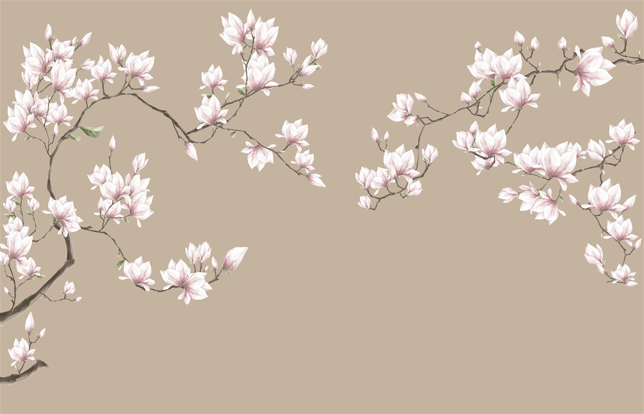 Fototapeta Smukła gałąź białej magnolii