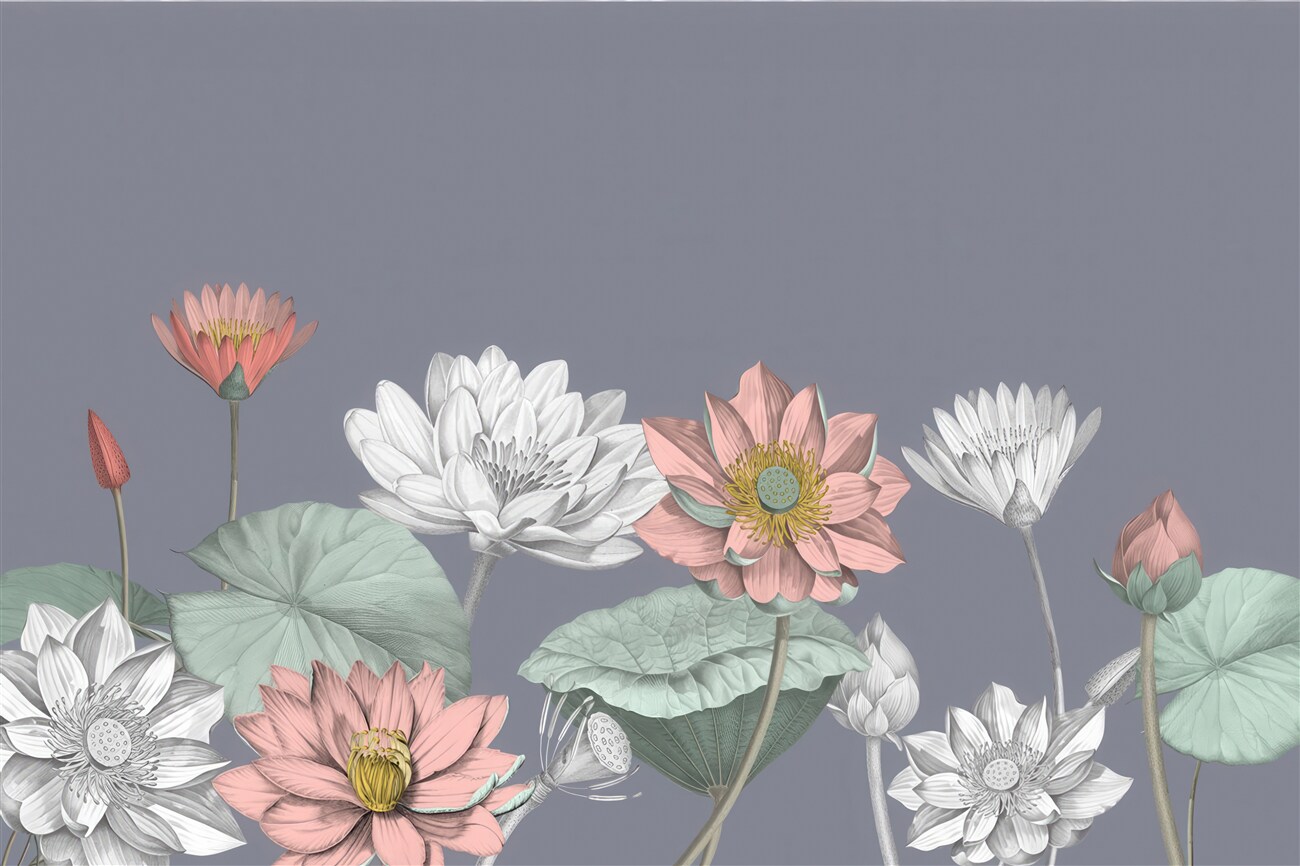 Fototapeta Lotus wieloskutfowy z wodą