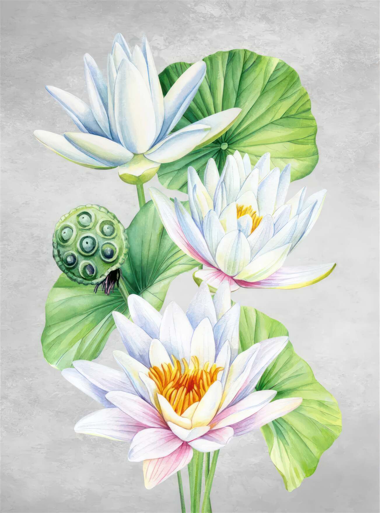 Fototapeta Spring Exotic Mini -Buquet