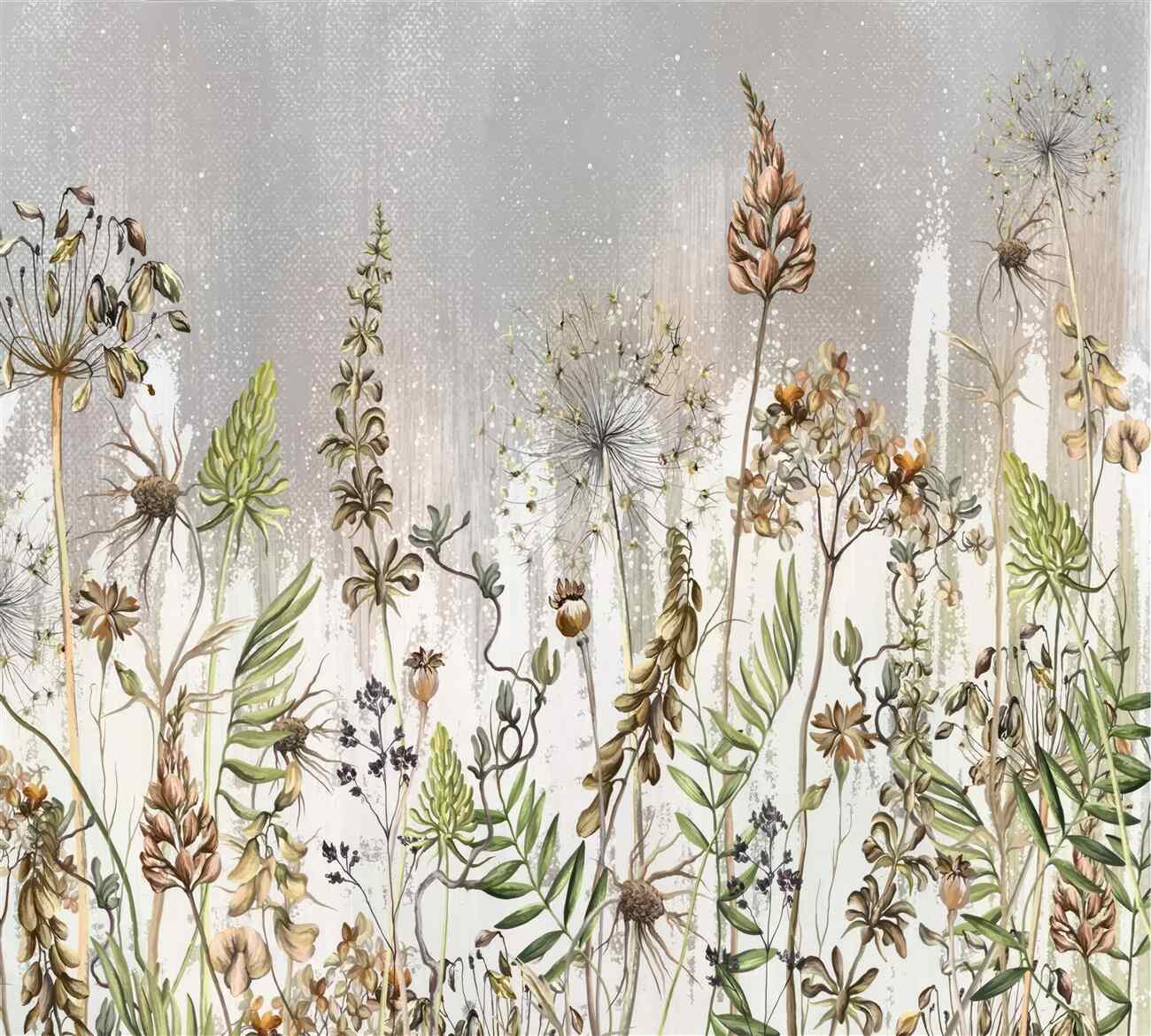 Fototapeta Ilustracja kwiatów polowych