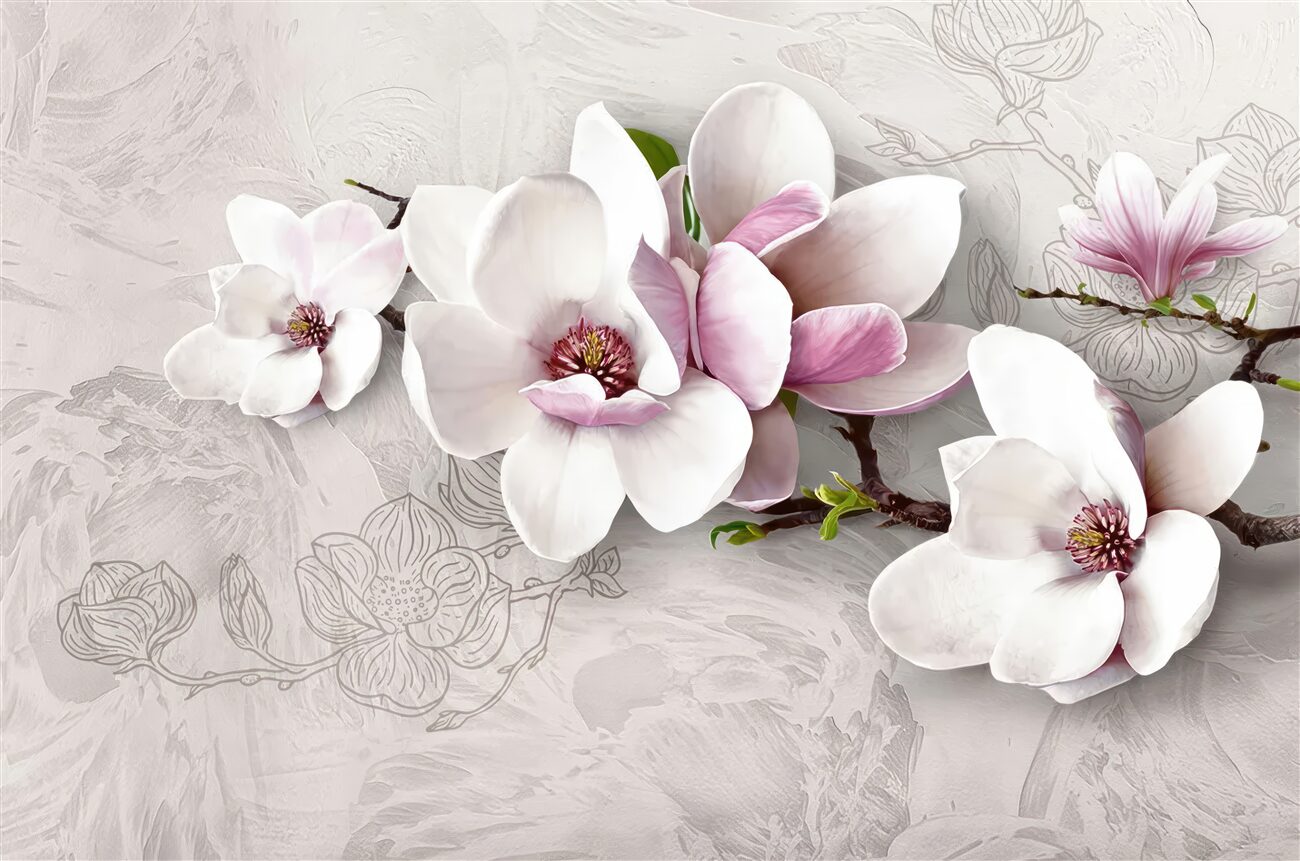 Fototapeta Białe kwiaty magnolia