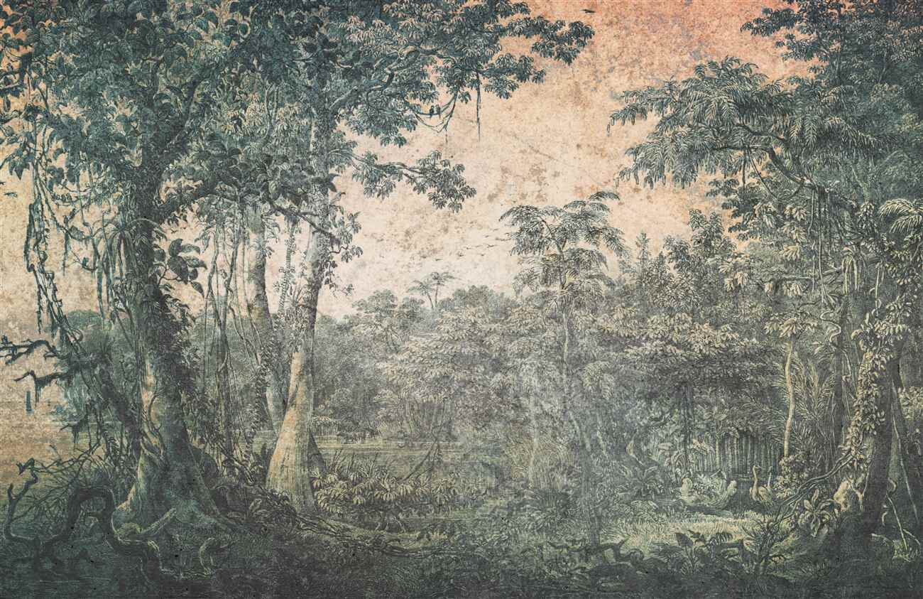 Fototapeta Ilustracja lotu