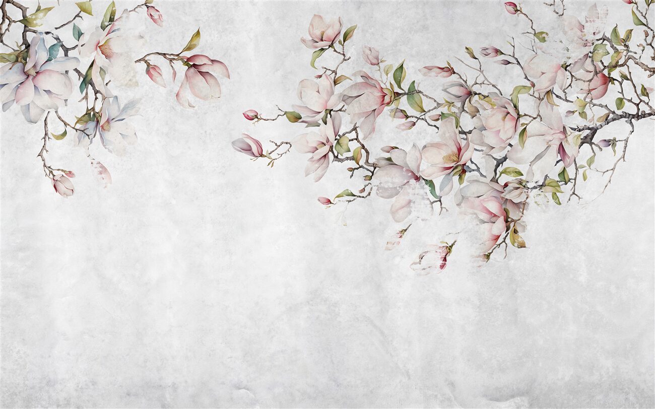 Fototapeta Gałęzie magnolia są różowe