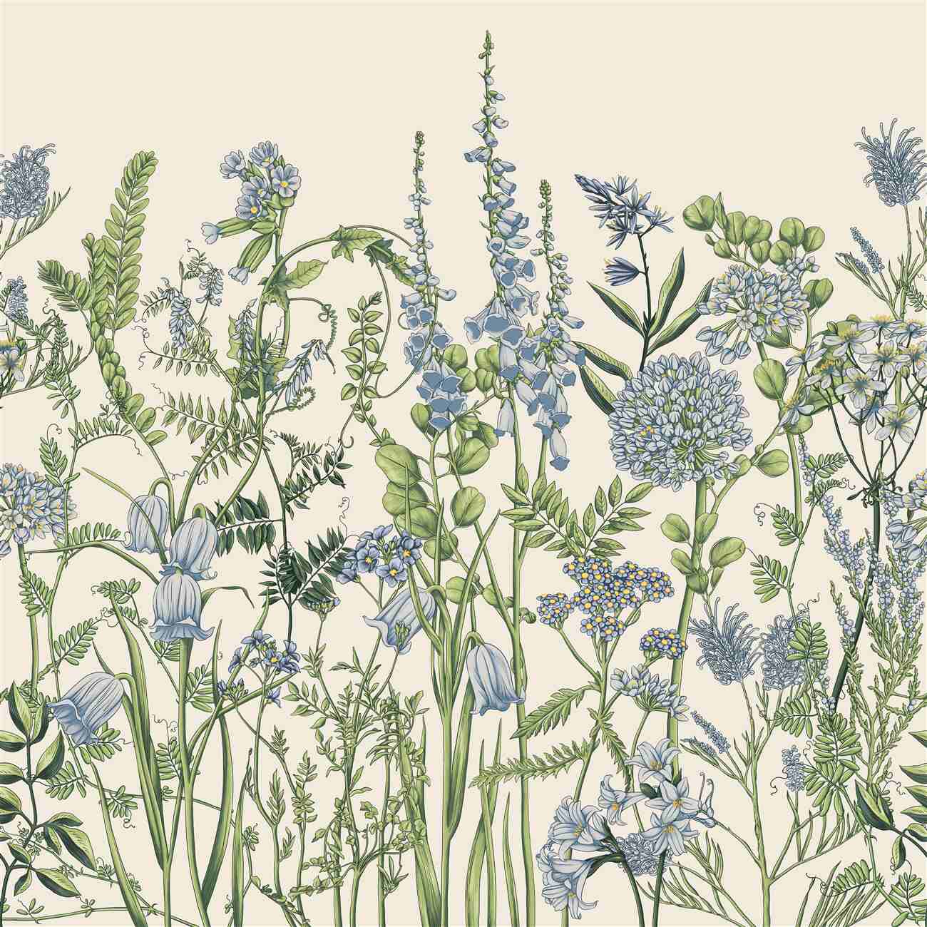 Fototapeta Field Blue Meadow Flowers