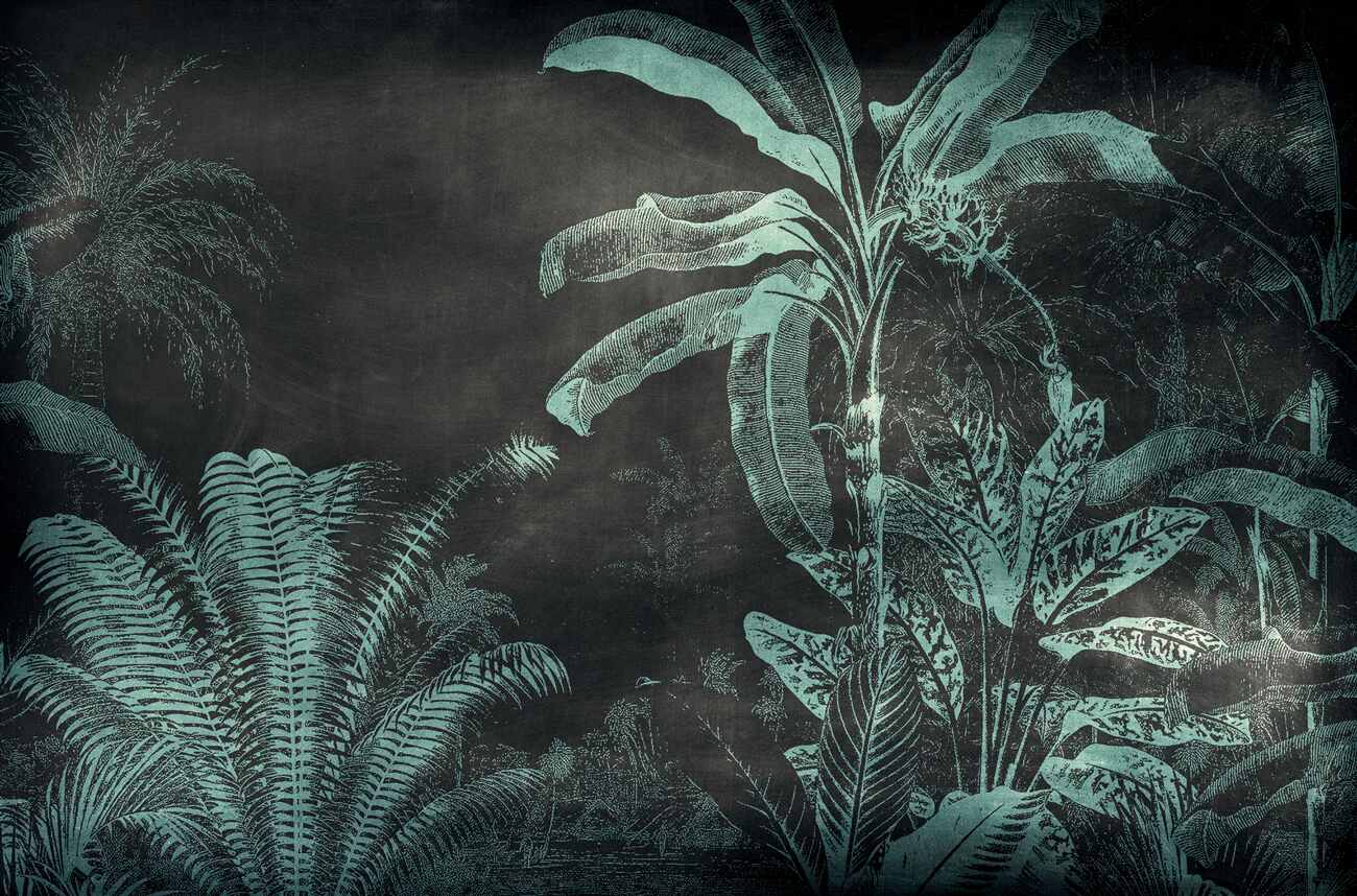 Fototapeta Nocna dżungla tropikalna
