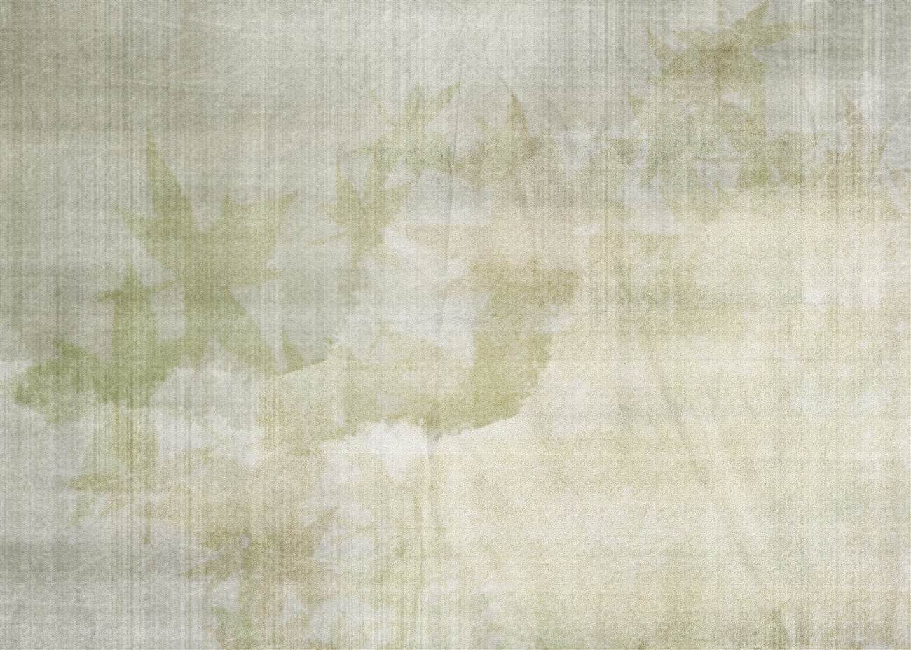 Fototapeta Przezroczyste abstrakcyjne liście