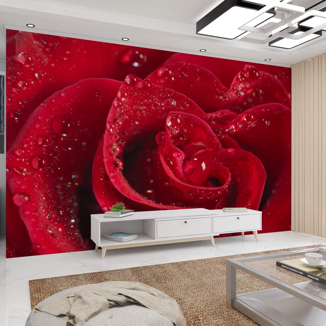 Fototapeta Rose Bud w Ross