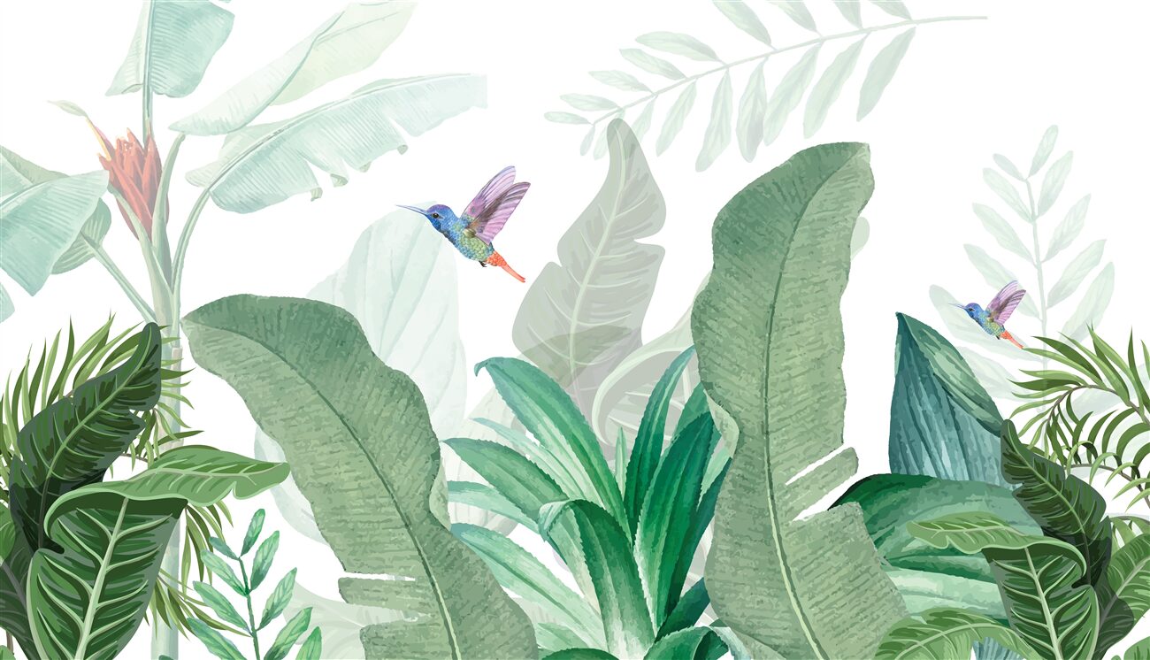 Fototapeta Kolibry nad palmami