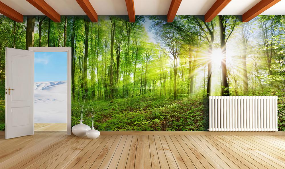 Fototapeta las słońce