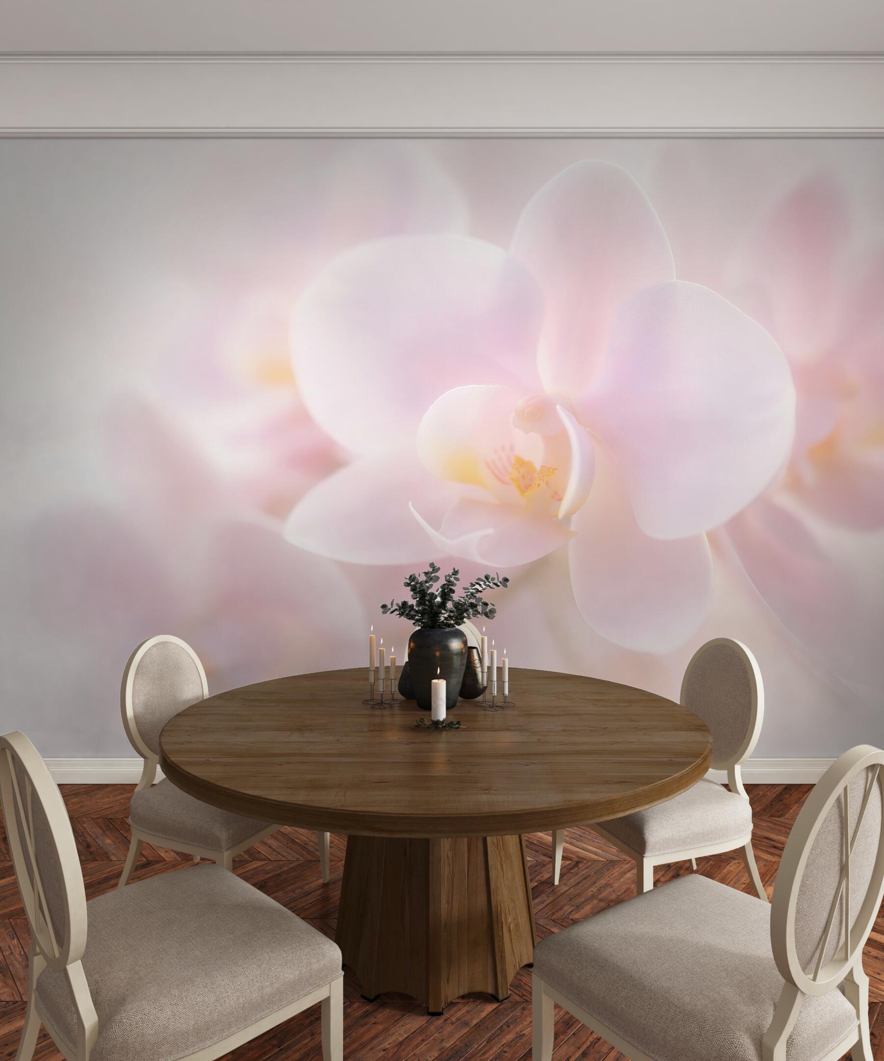 Fototapeta delikatna biała orchidea