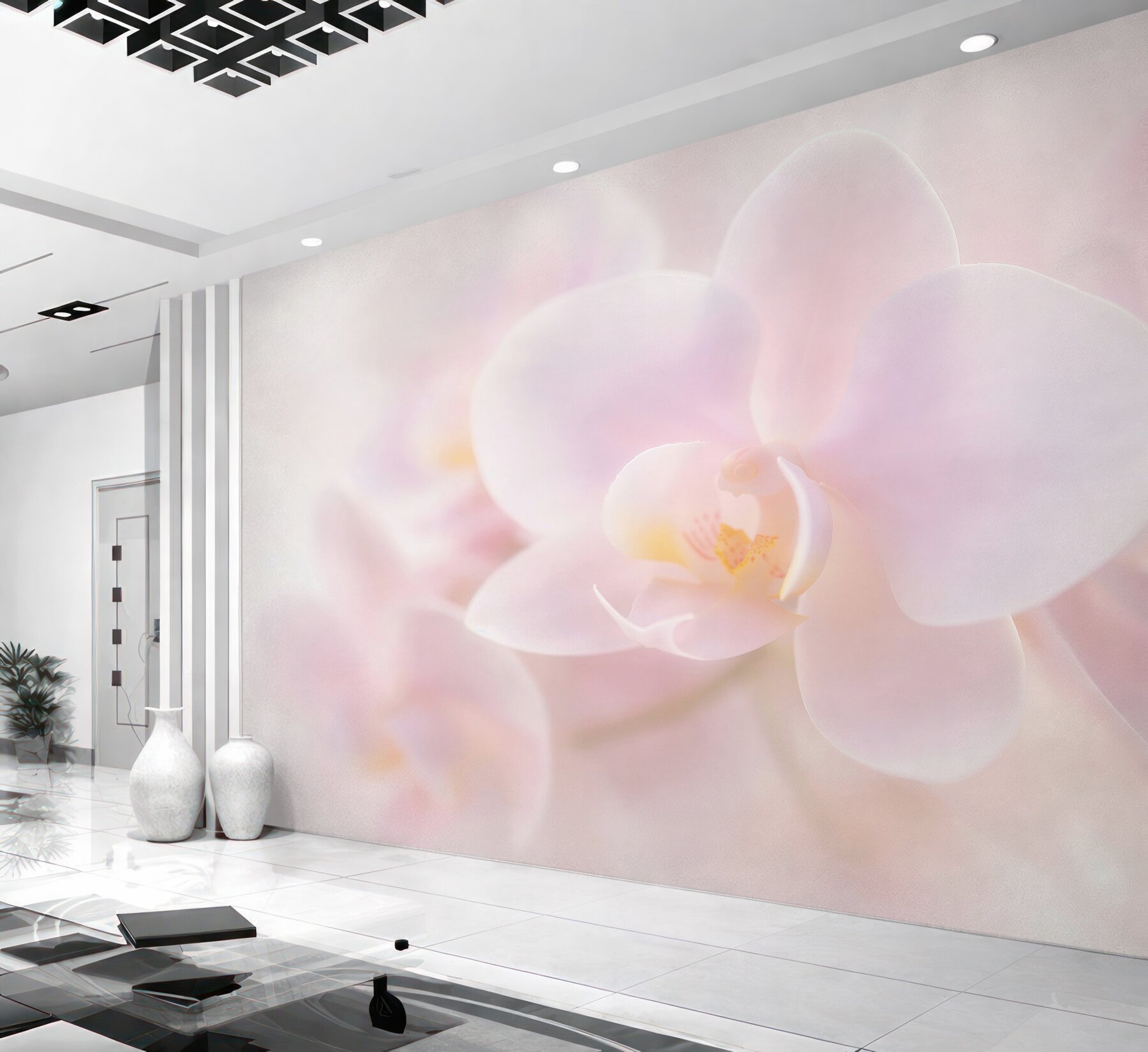 Fototapeta delikatna biała orchidea