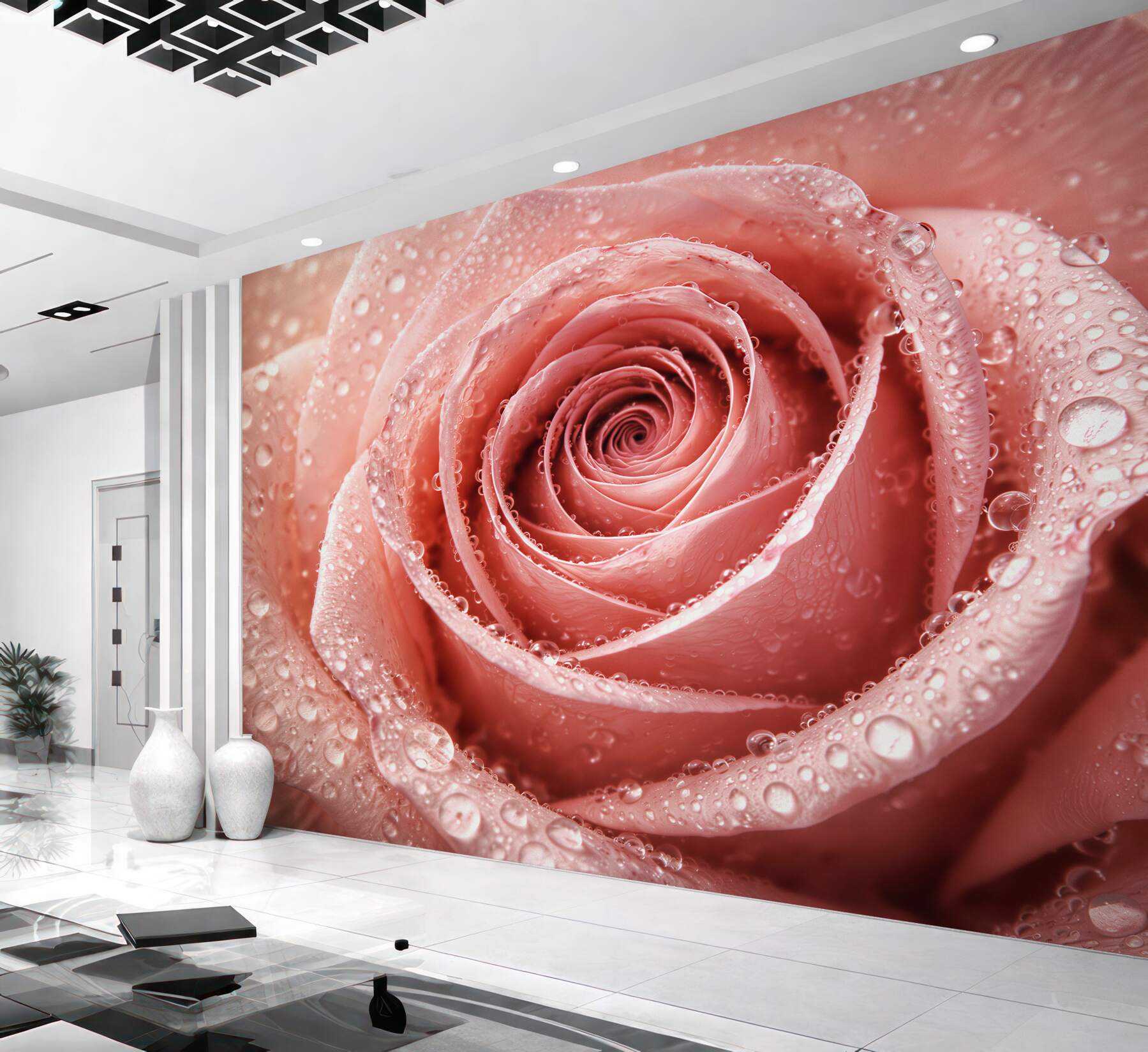 Fototapeta pudrowa róża w kroplach rosy