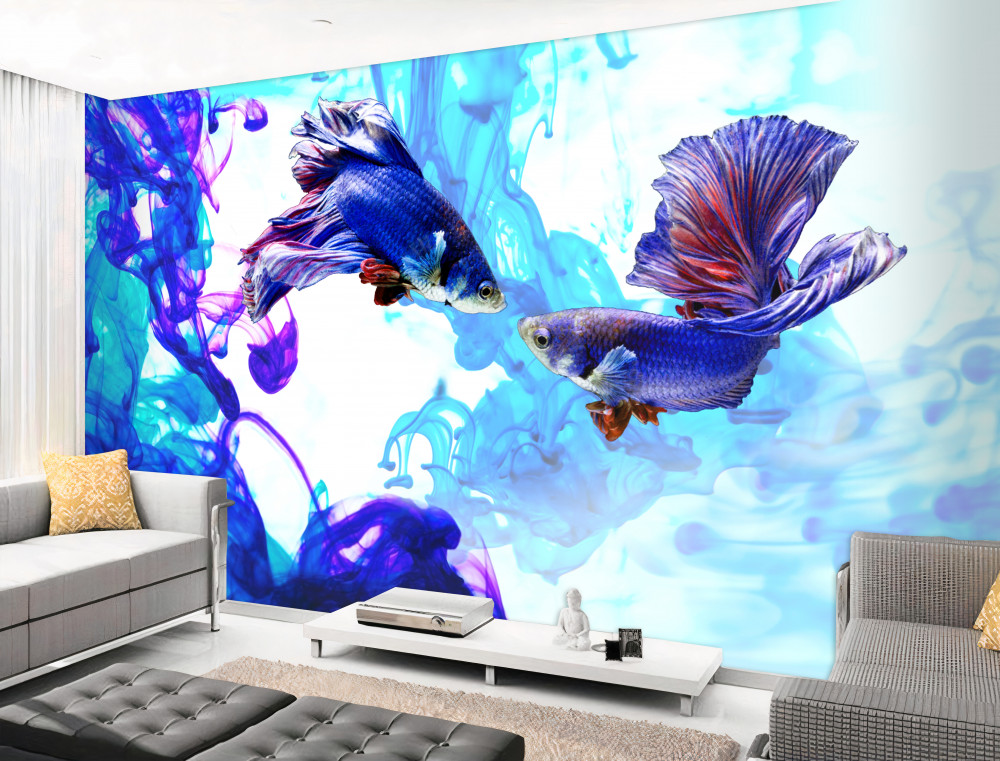Fototapeta ogon ryby bawią się w wodzie