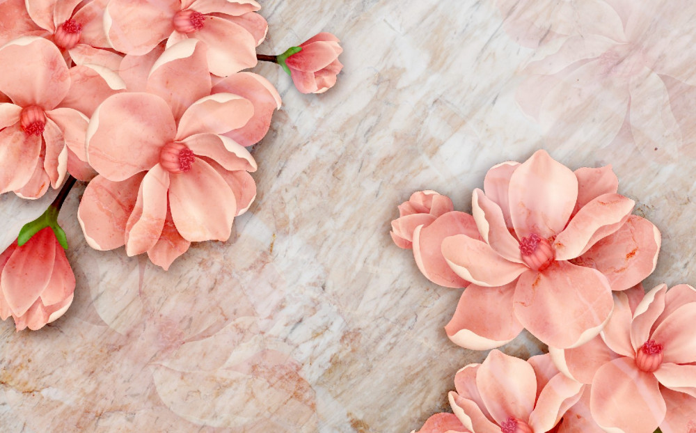 Fototapeta różowe kwiaty magnolii