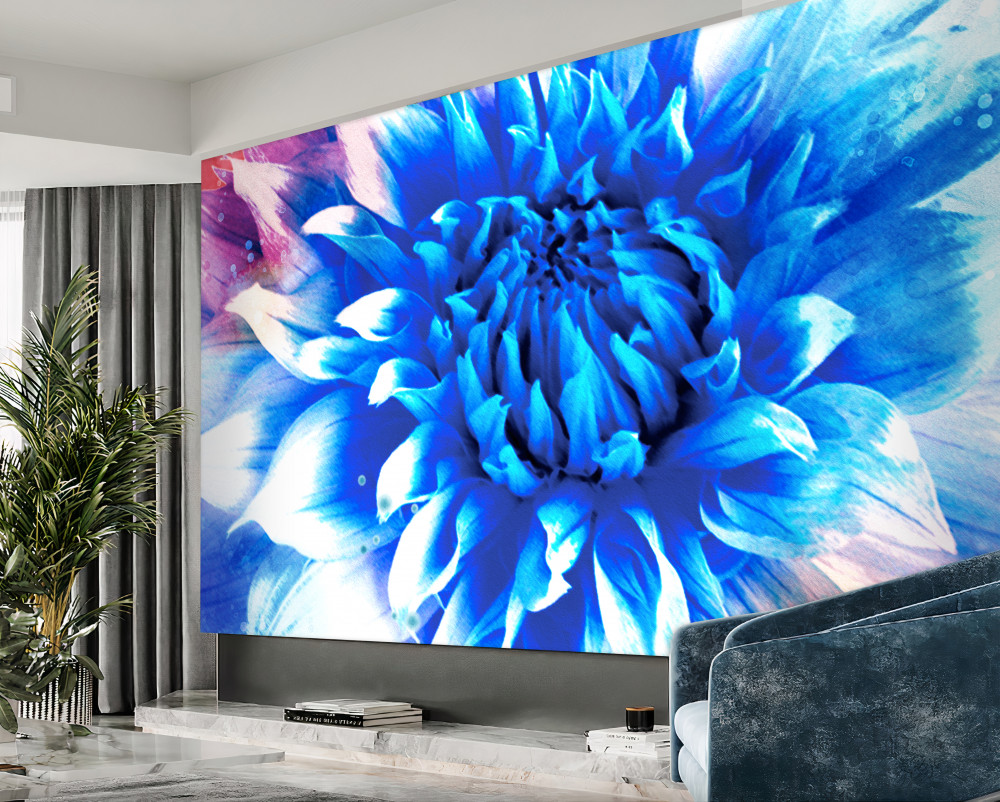 Fototapeta jasny niebieski aster