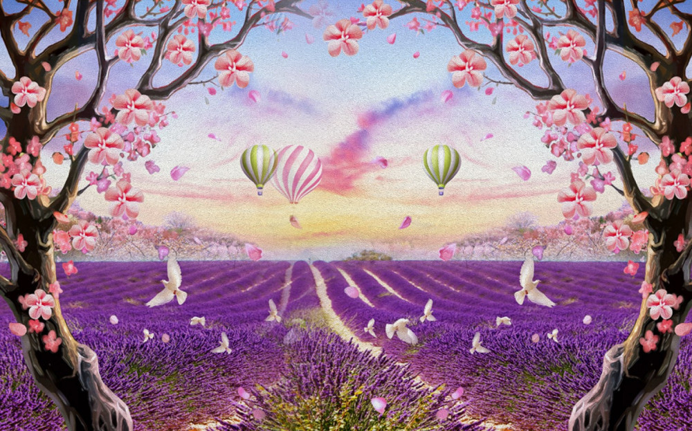 Fototapeta balony startujące nad polami lawendy