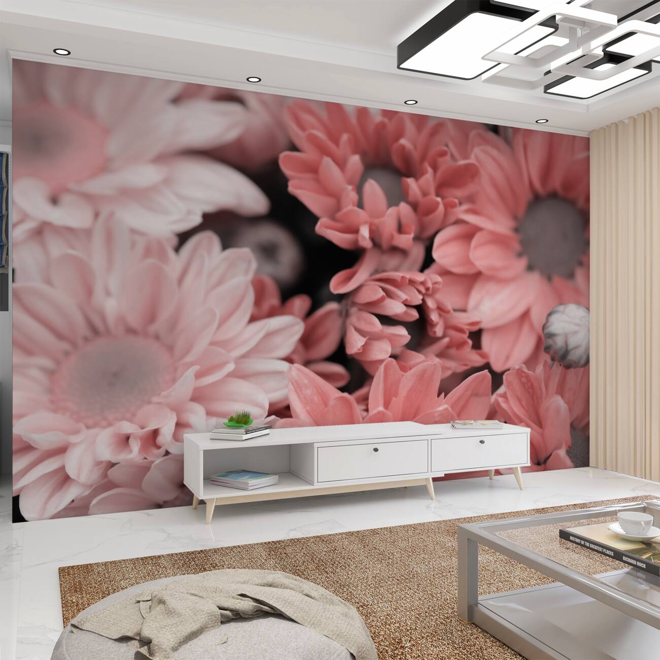 Fototapeta Delikatna lekka makrosema Gerbera