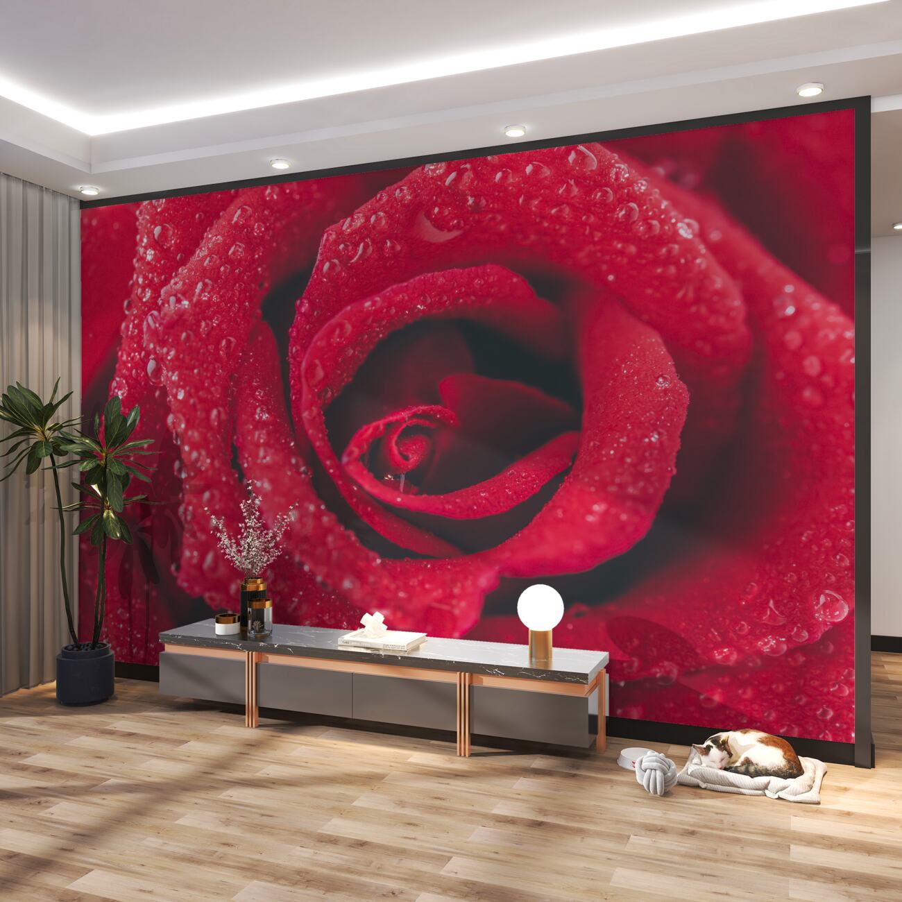 Fototapeta Czerwona róża w rosie po deszczu