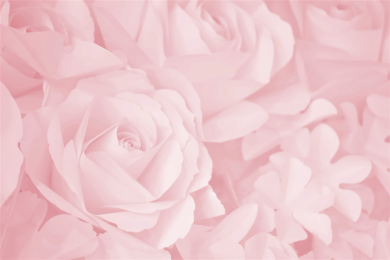 Fototapeta Abstrakcja róży światła -pink