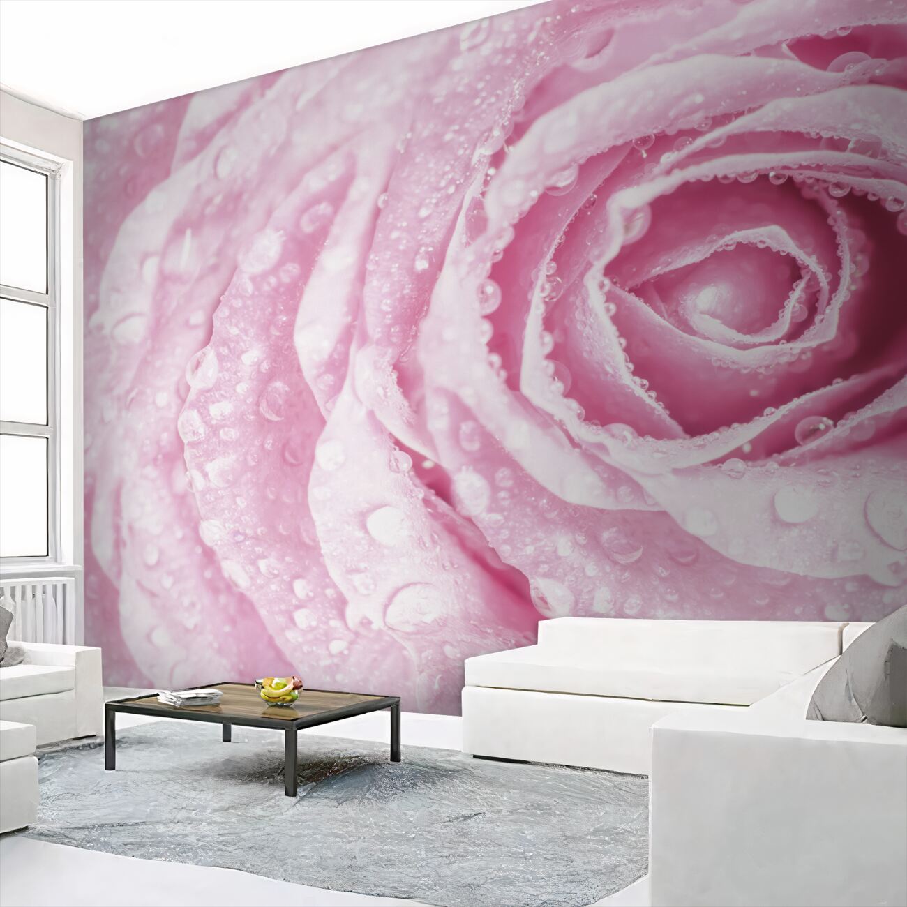 Fototapeta Różowa róża pod deszczowym makro