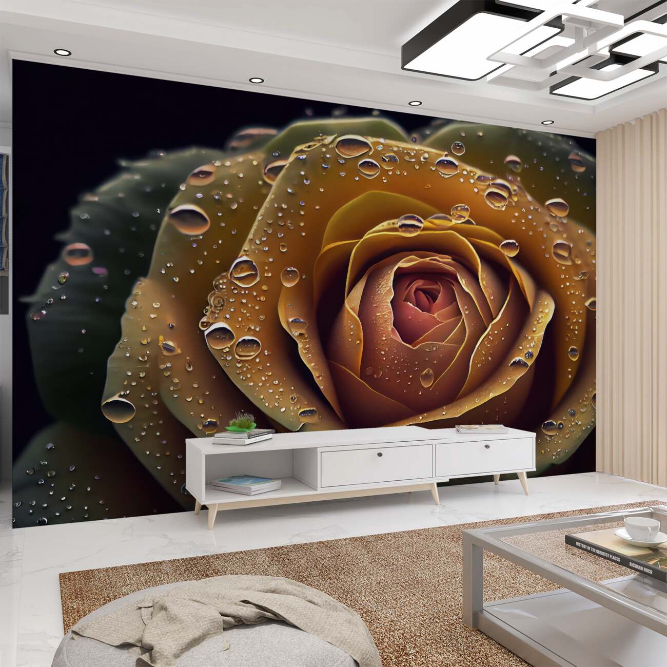 Fototapeta Żółta róża pod rosa