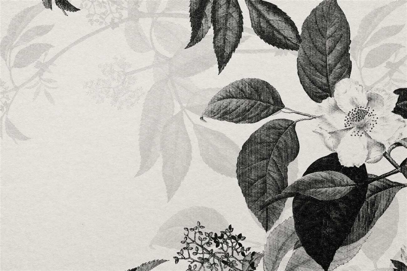 Fototapeta Blooming Cherry