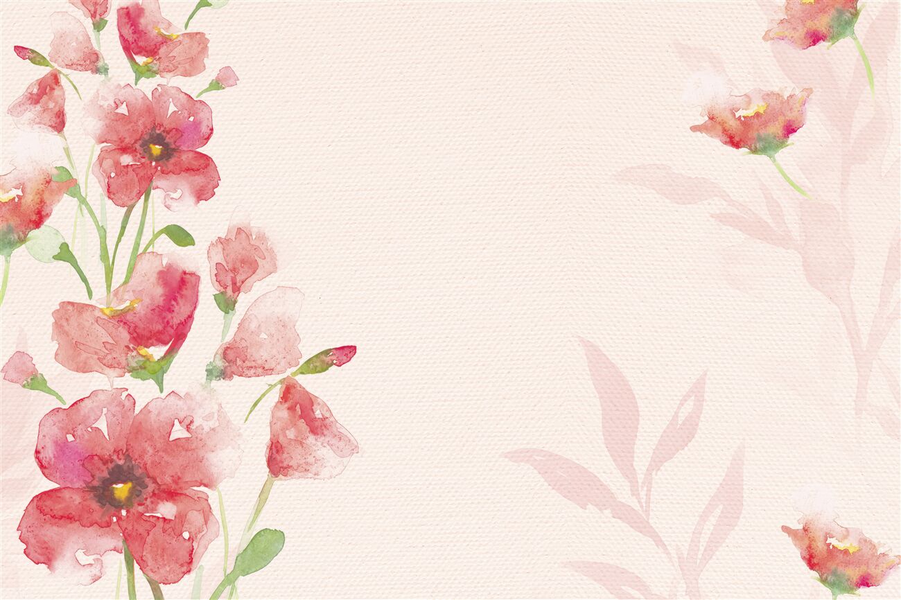 Fototapeta Gałęzie czerwonych gladioli