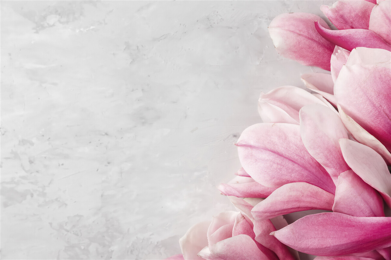 Fototapeta Różowa magnolia na marmurze