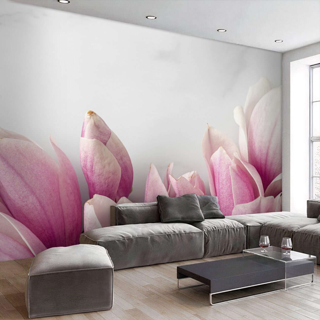 Fototapeta Młode pąki magnolii