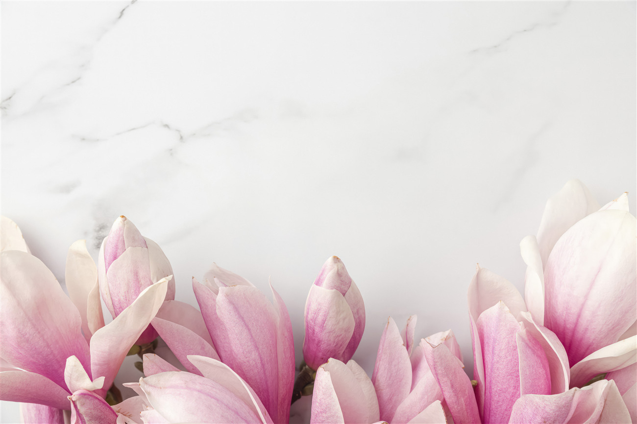 Fototapeta Delikatna różowa magnolia na białym marmurze