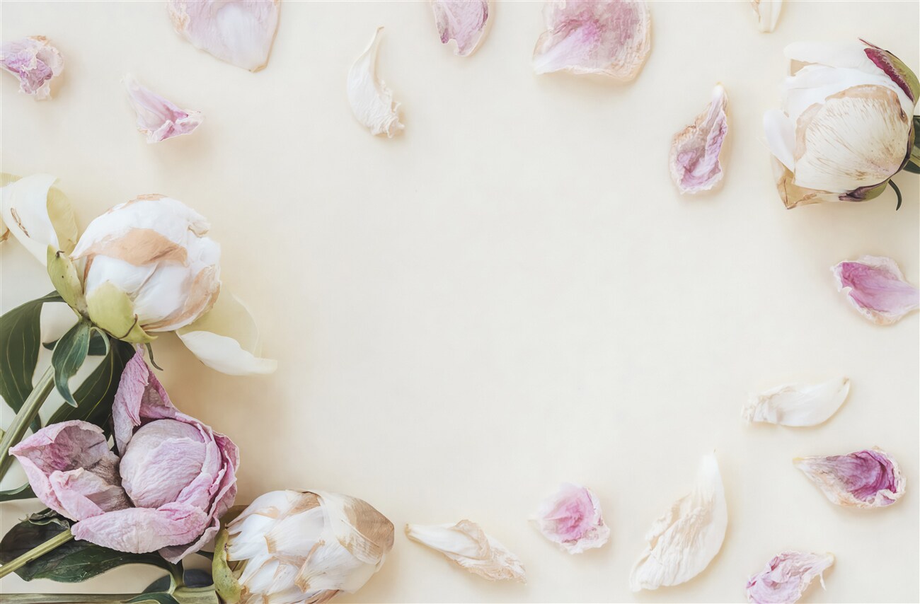 Fototapeta Peony w płatkach wodnych