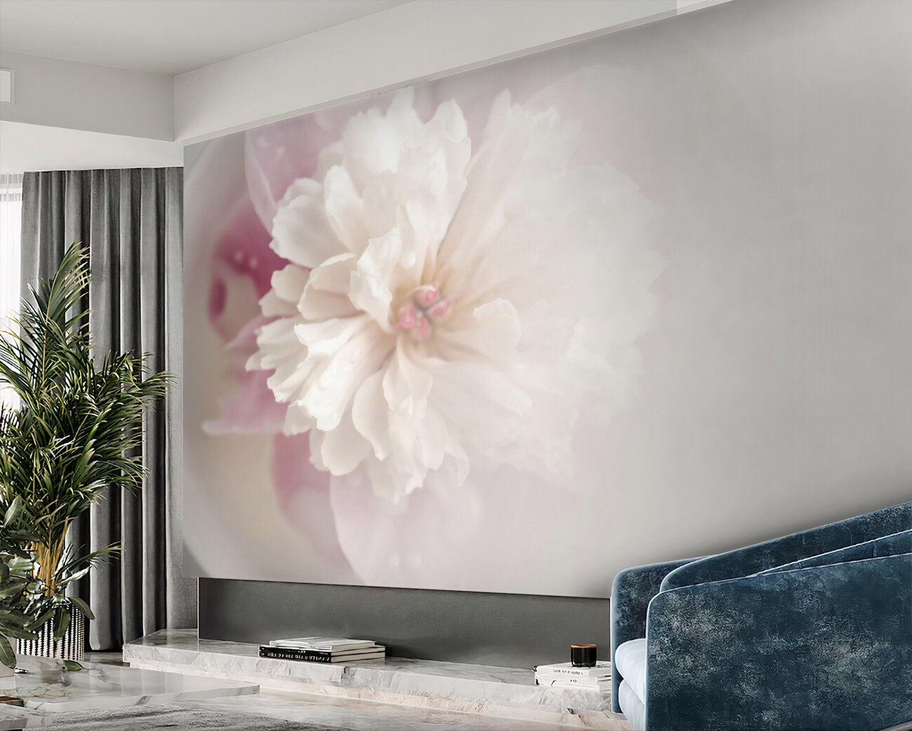 Fototapeta Biały pion w rosa