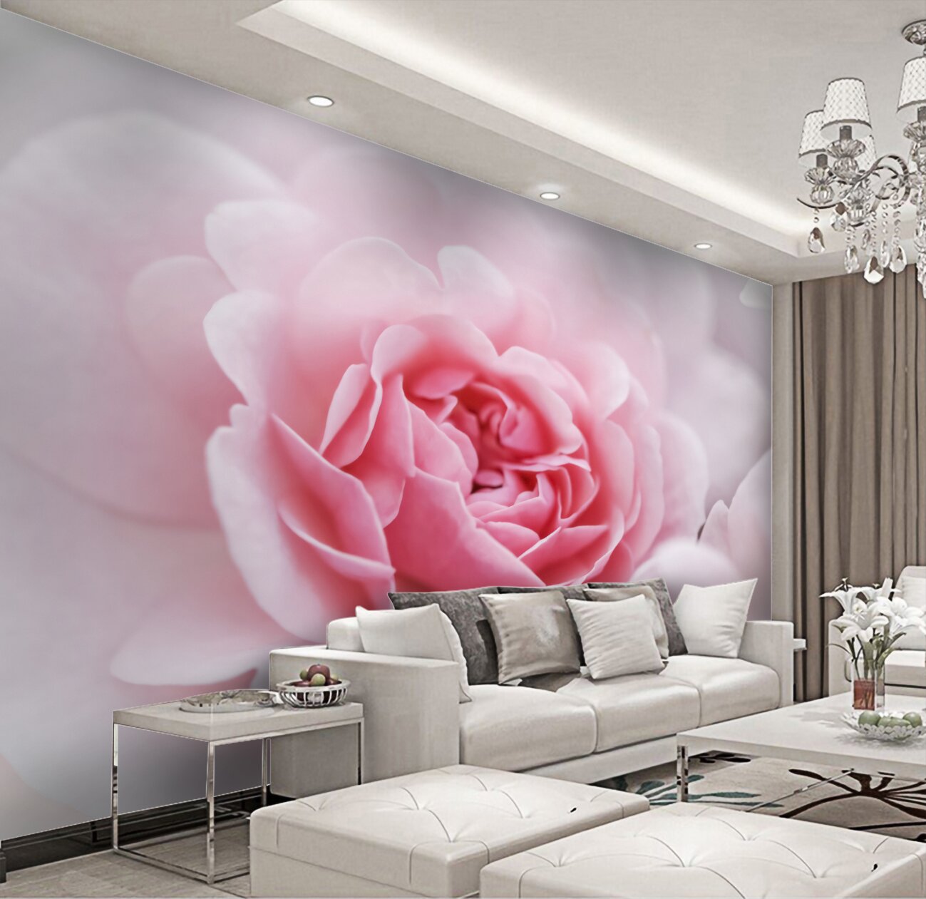 Fototapeta Pionovid Rose jest różowa