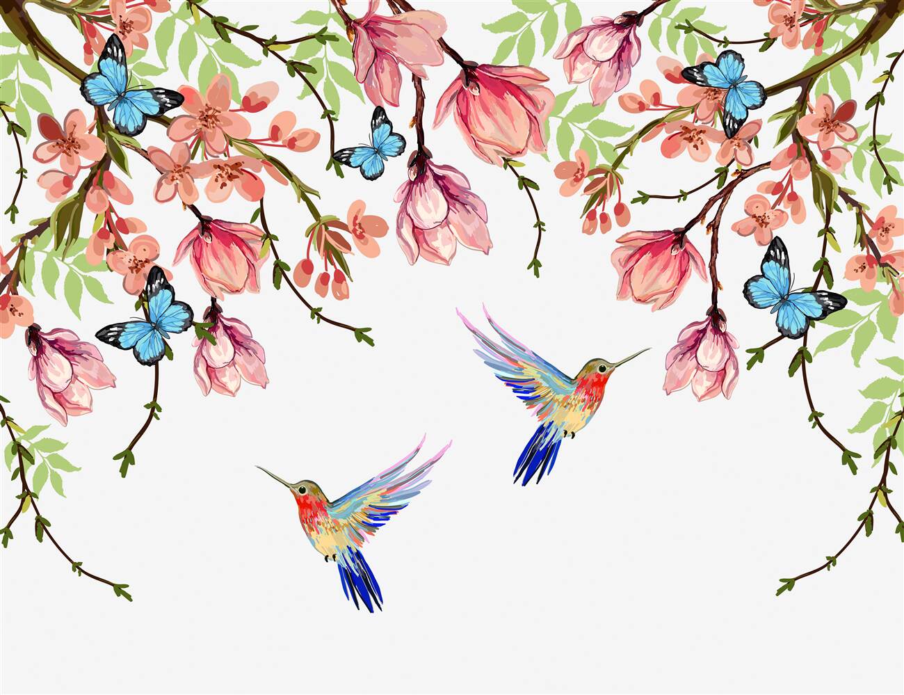 Fototapeta Motyle i kolibry na kwiatach