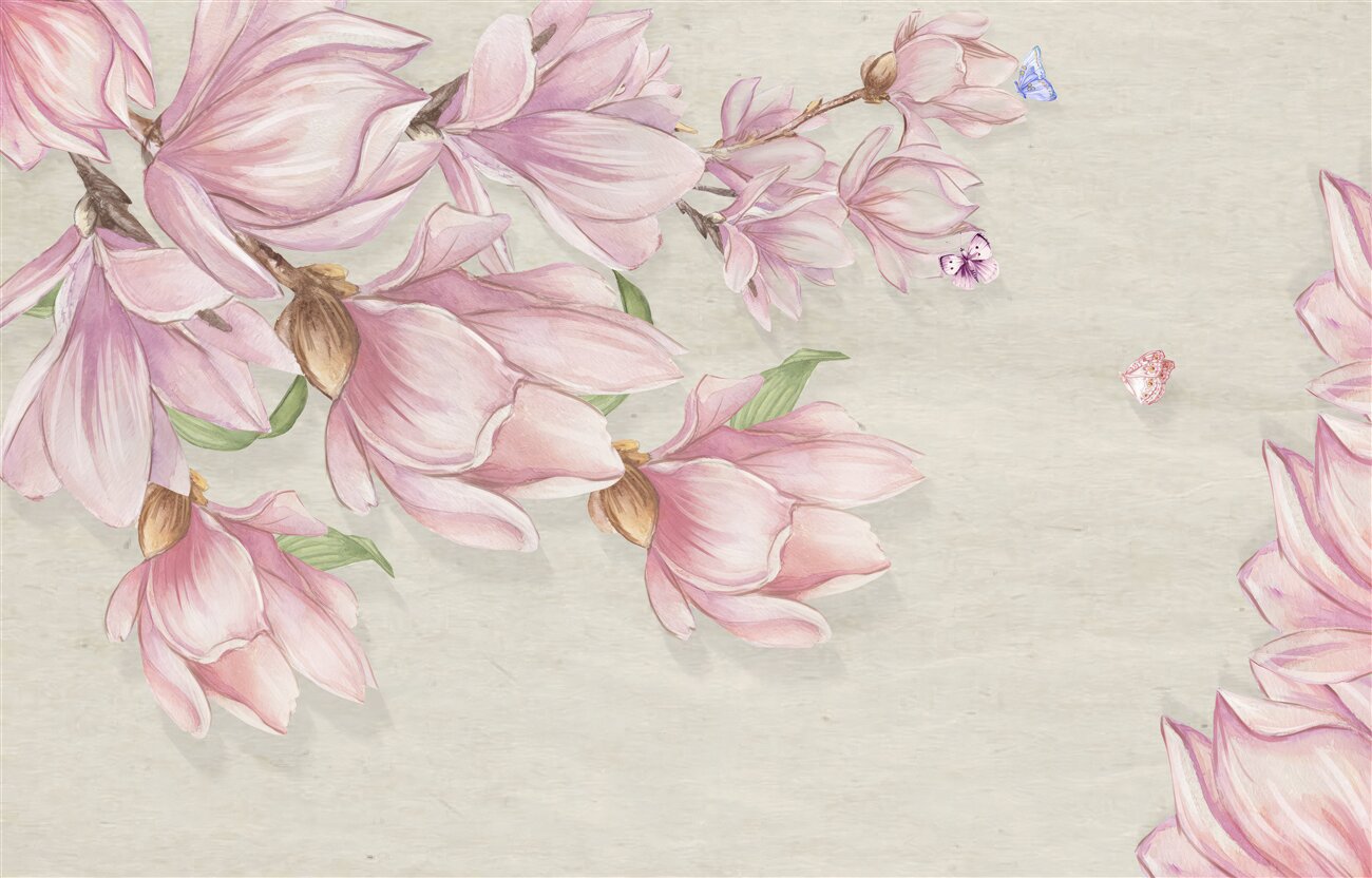 Fototapeta Magnolia kwitnąca różowa