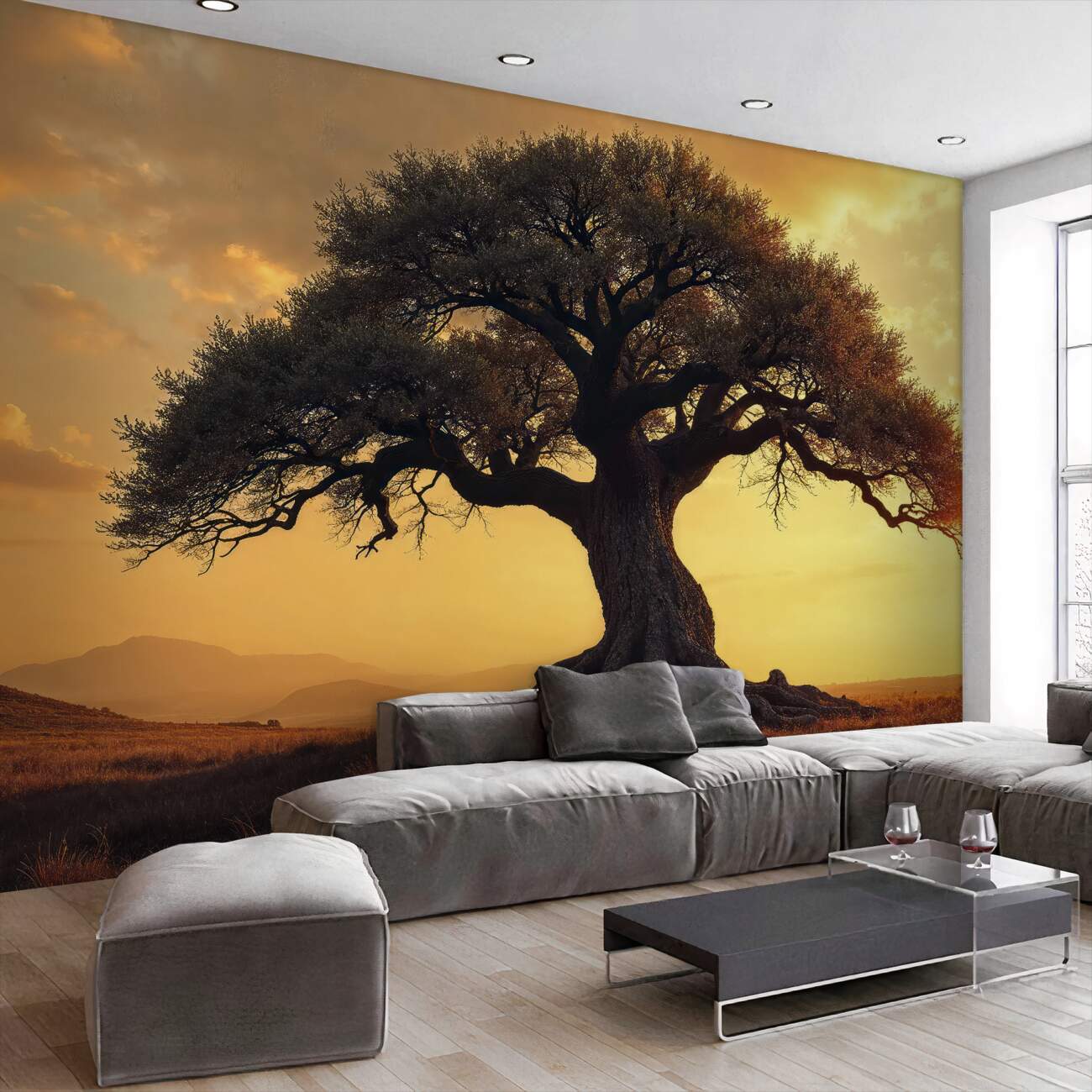 Fototapeta Baobab o zachodzie słońca na pustyni
