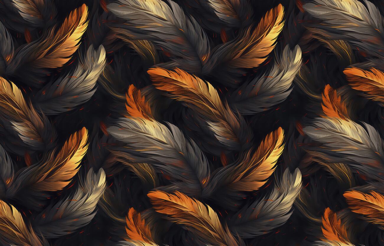 Fototapeta Kolekcja Feathers